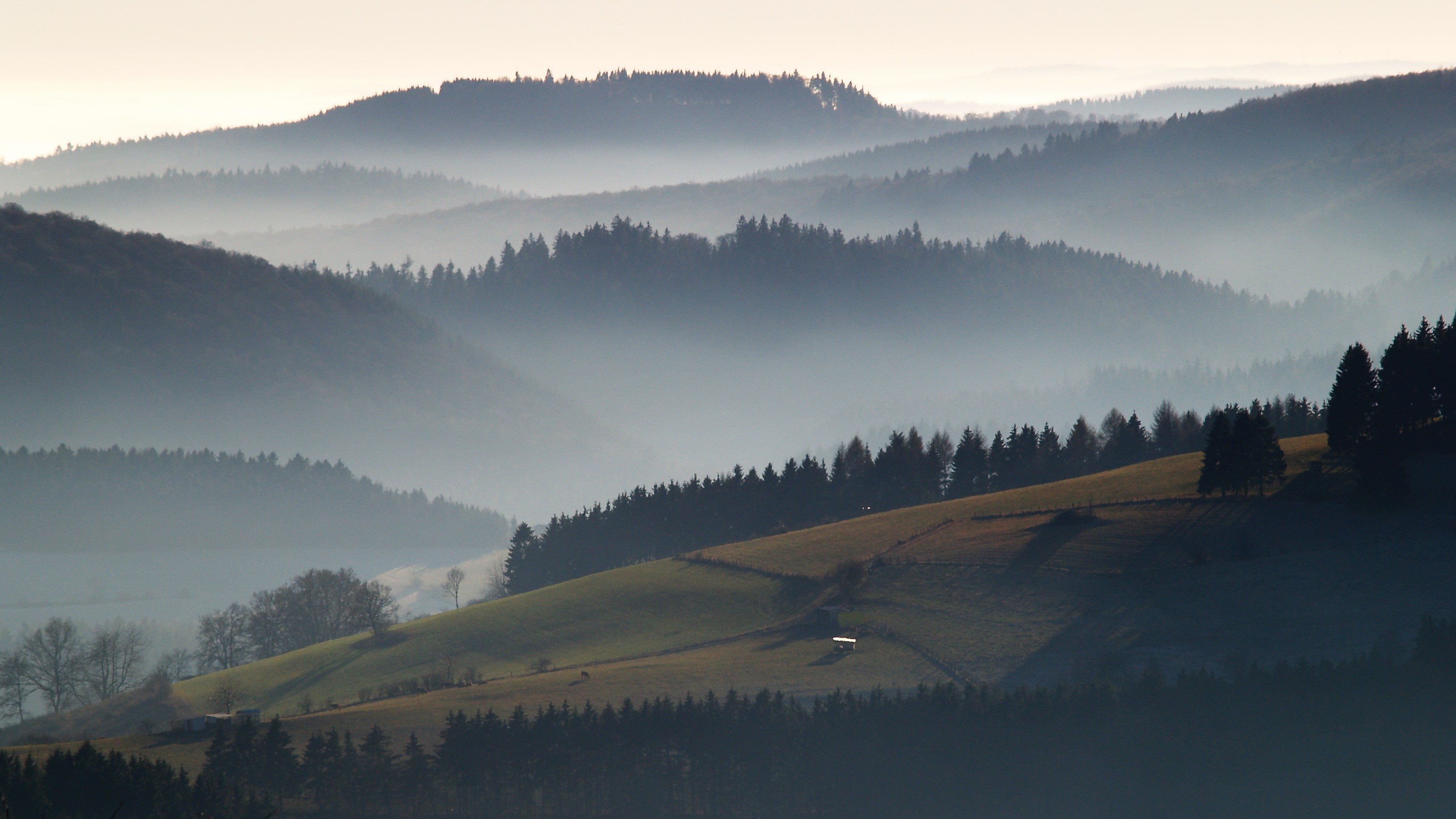 HEIMAT 6